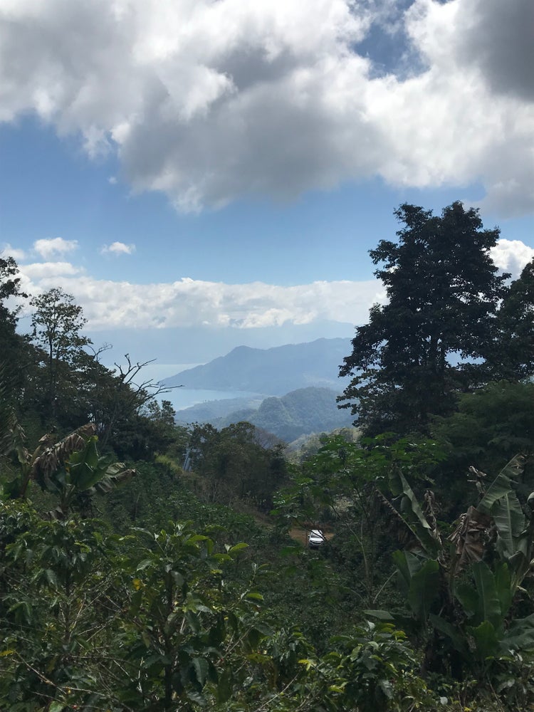 Honduras San Vicente