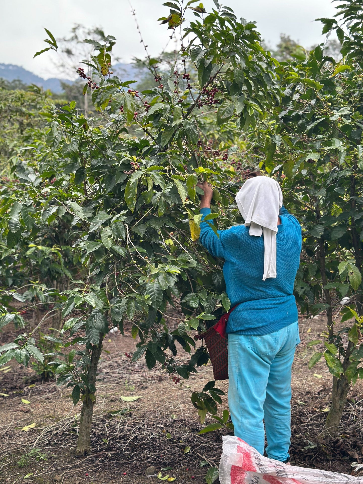 Mexico Naolinco