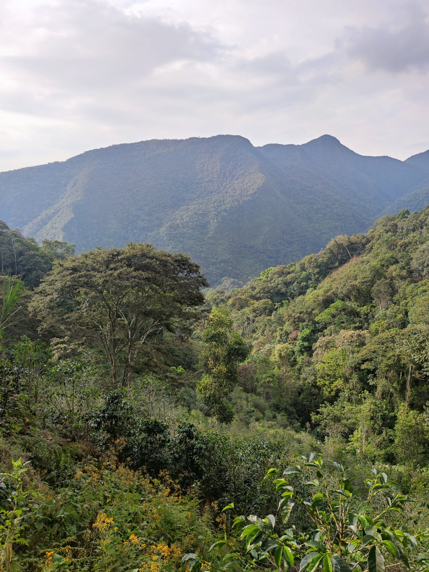 Peru Yanahuaya