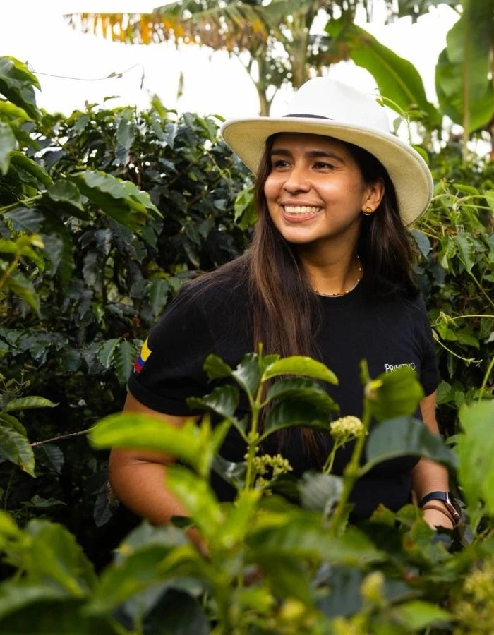 Colombia La Primavera