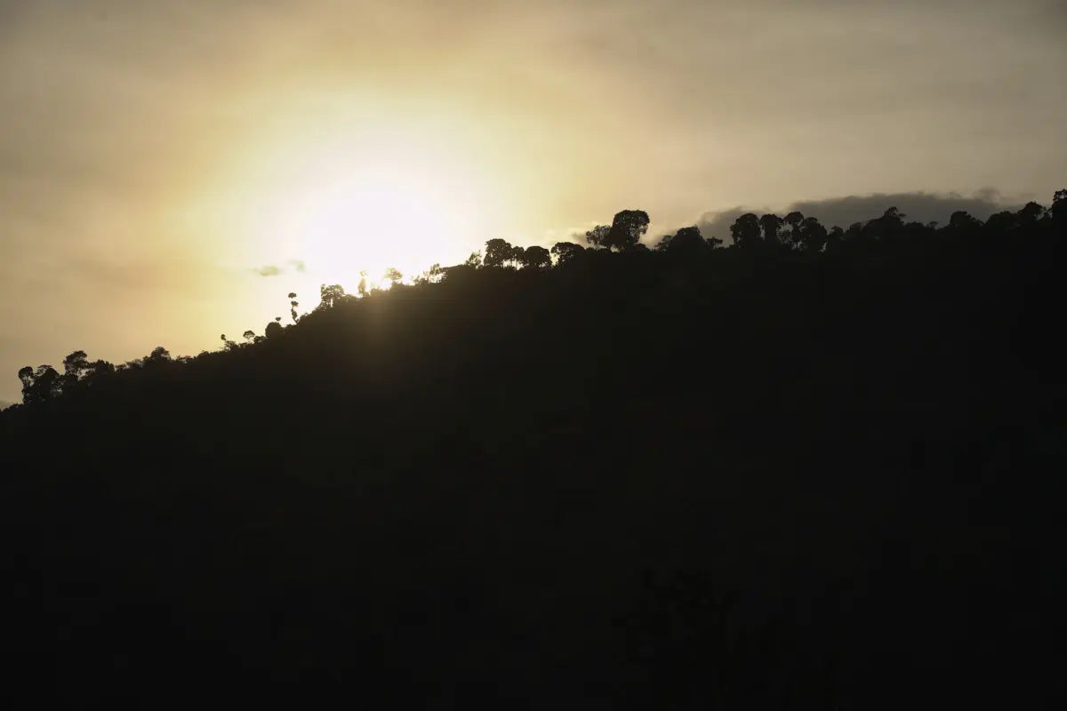 Ethiopia Chelbesa