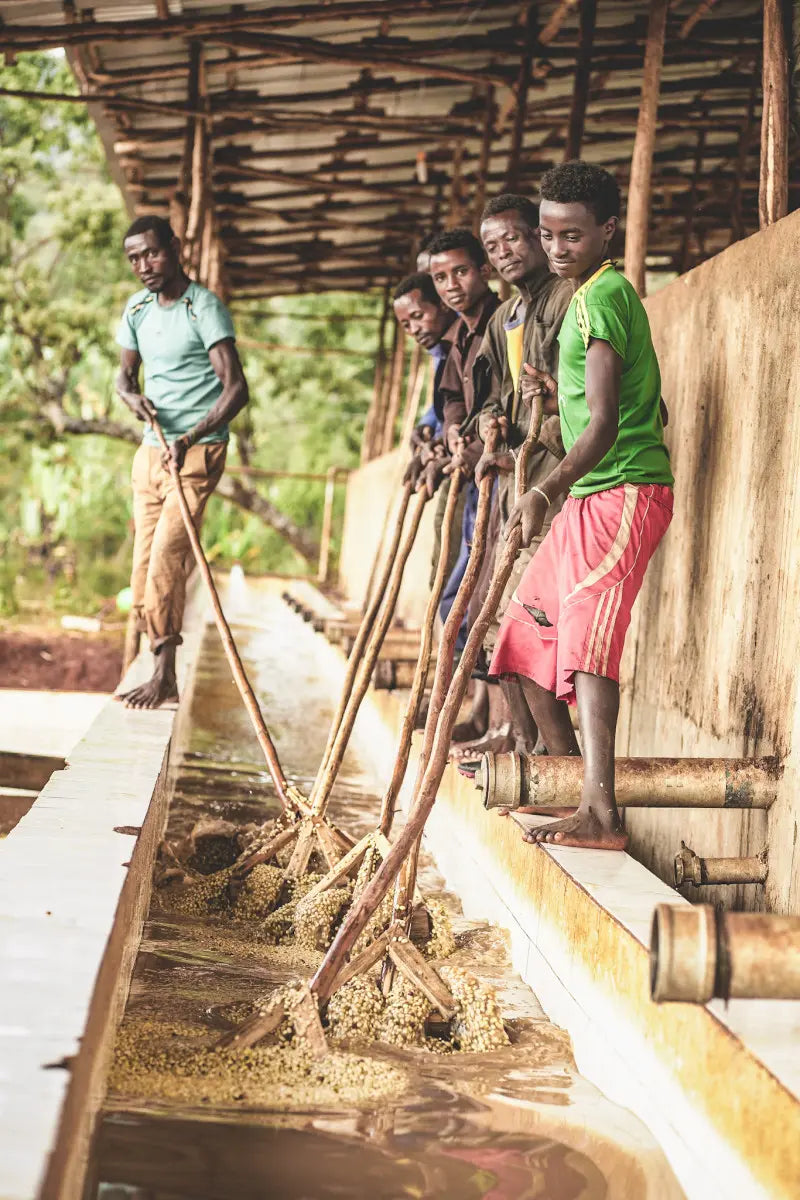 Ethiopia Chelbesa