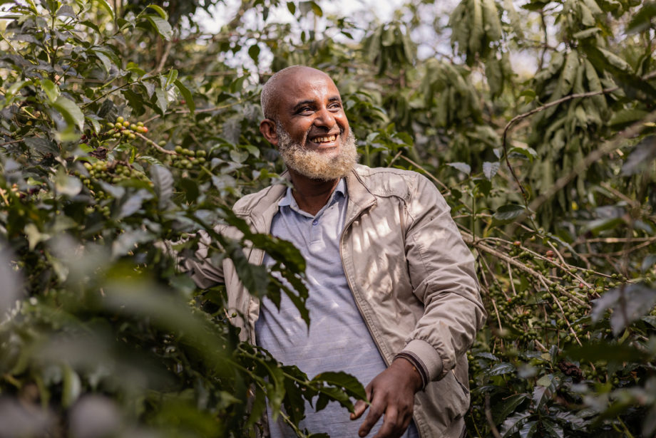 Ethiopia Jimma